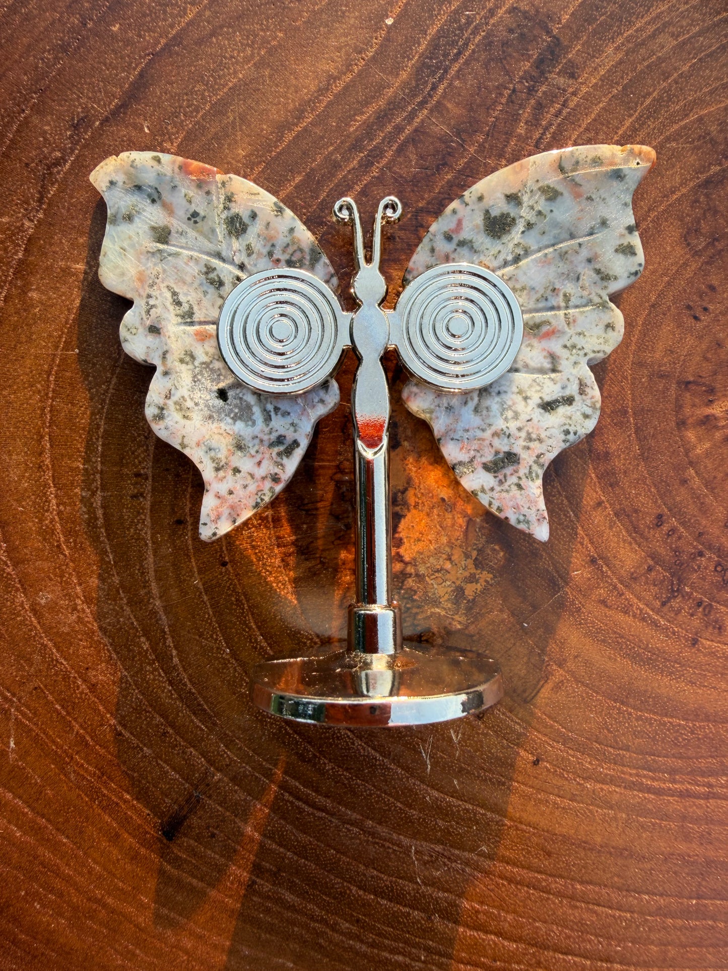 Ocean Jasper Butterfly