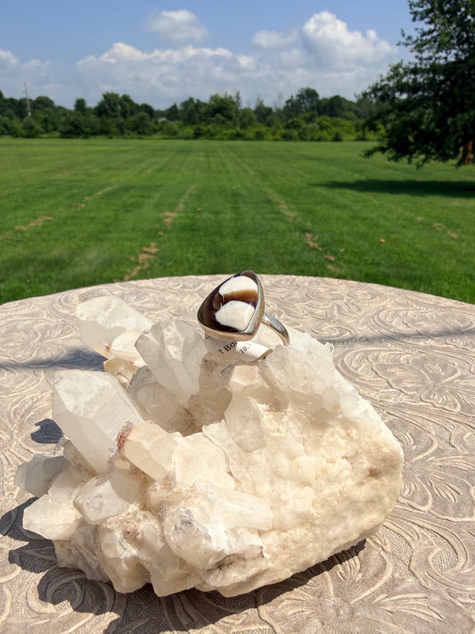 Triangular Botswana Agate Ring
