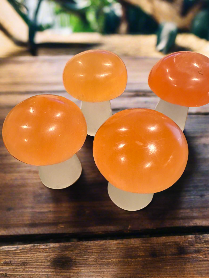 Orange Selenite Mushroom