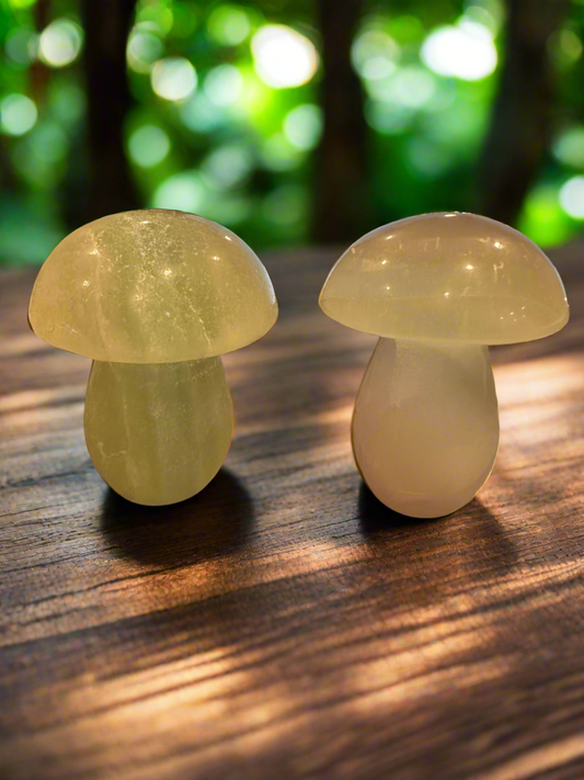 Fluorite Mushroom Carving