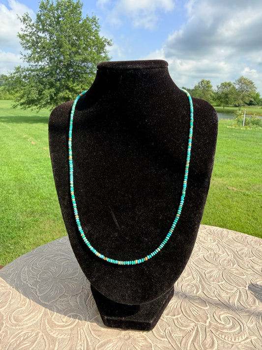 Dainty Turquoise Necklace