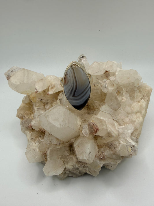 Marquee Botswana Agate Ring