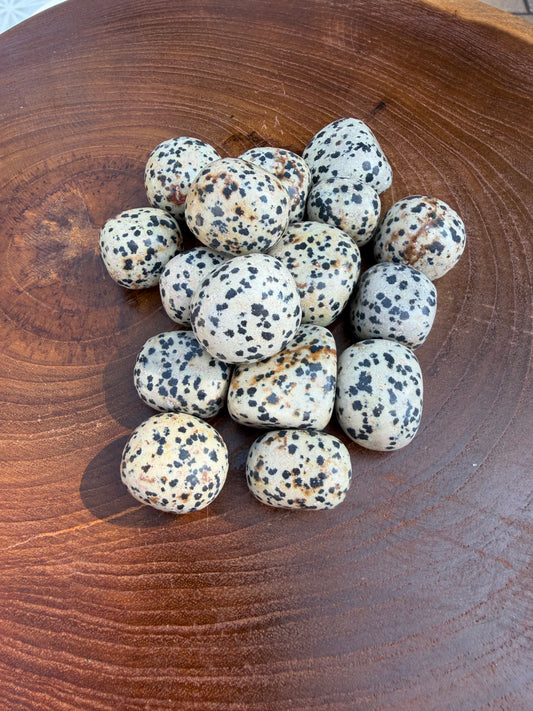 Tumbled Dalmatian Jasper