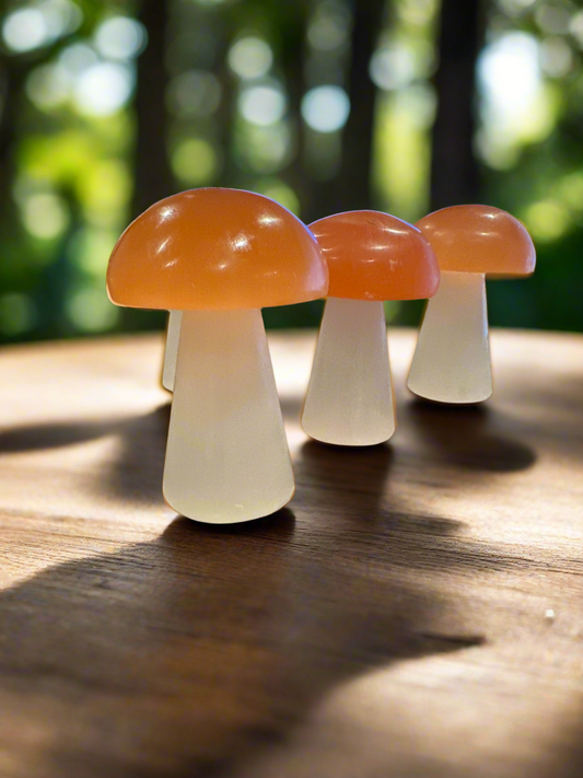 Orange Selenite Mushroom