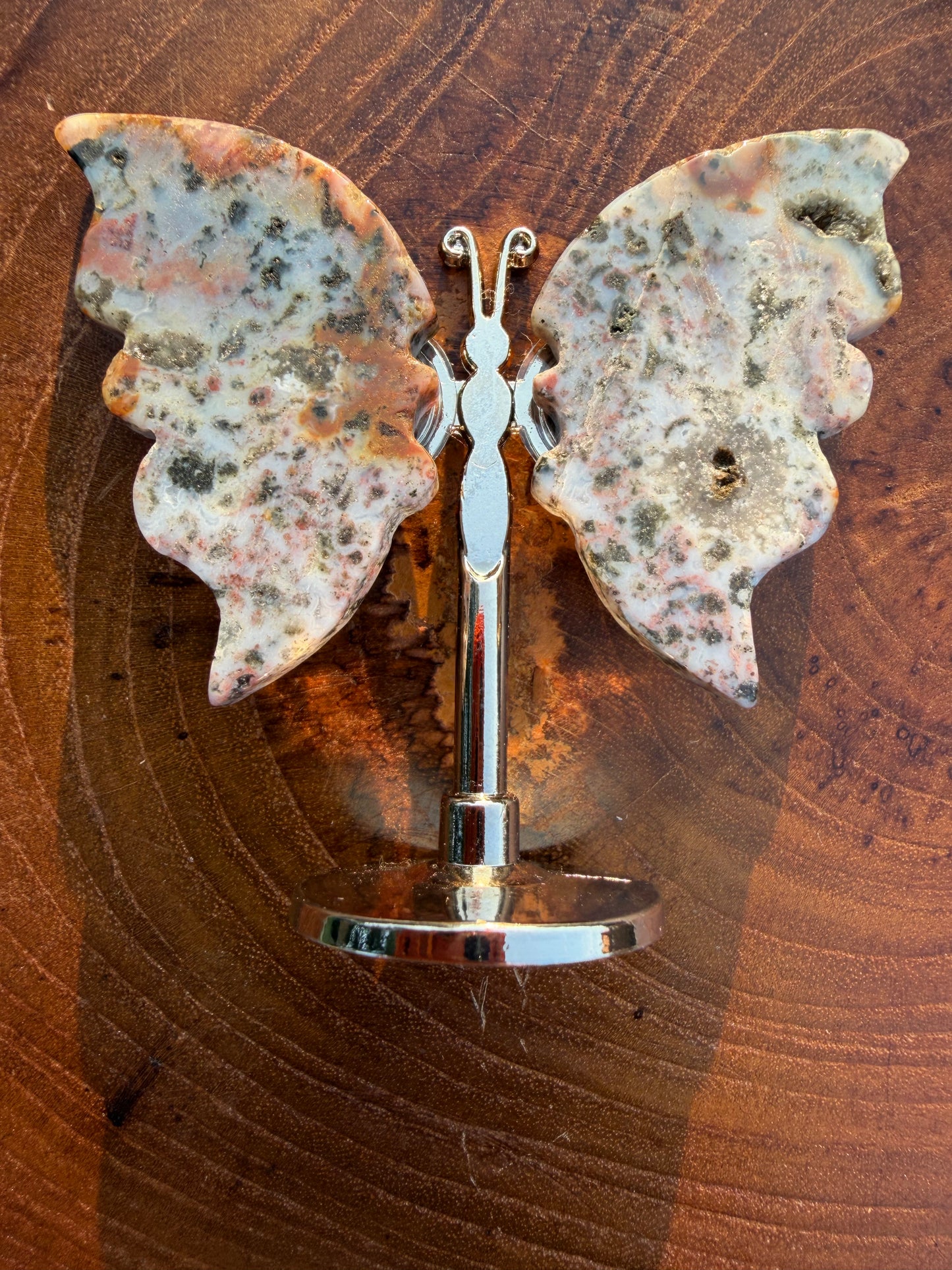 Ocean Jasper Butterfly