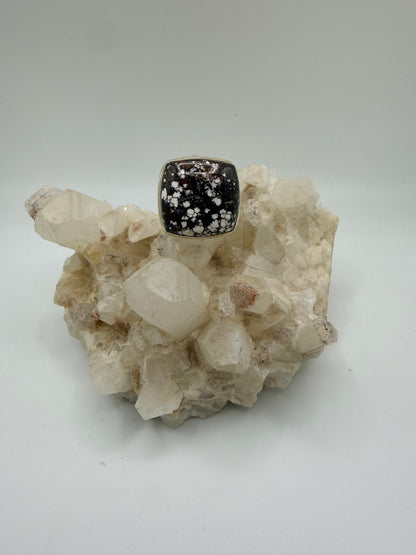 Square Wild Horse Ring