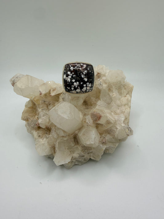 Square Wild Horse Ring