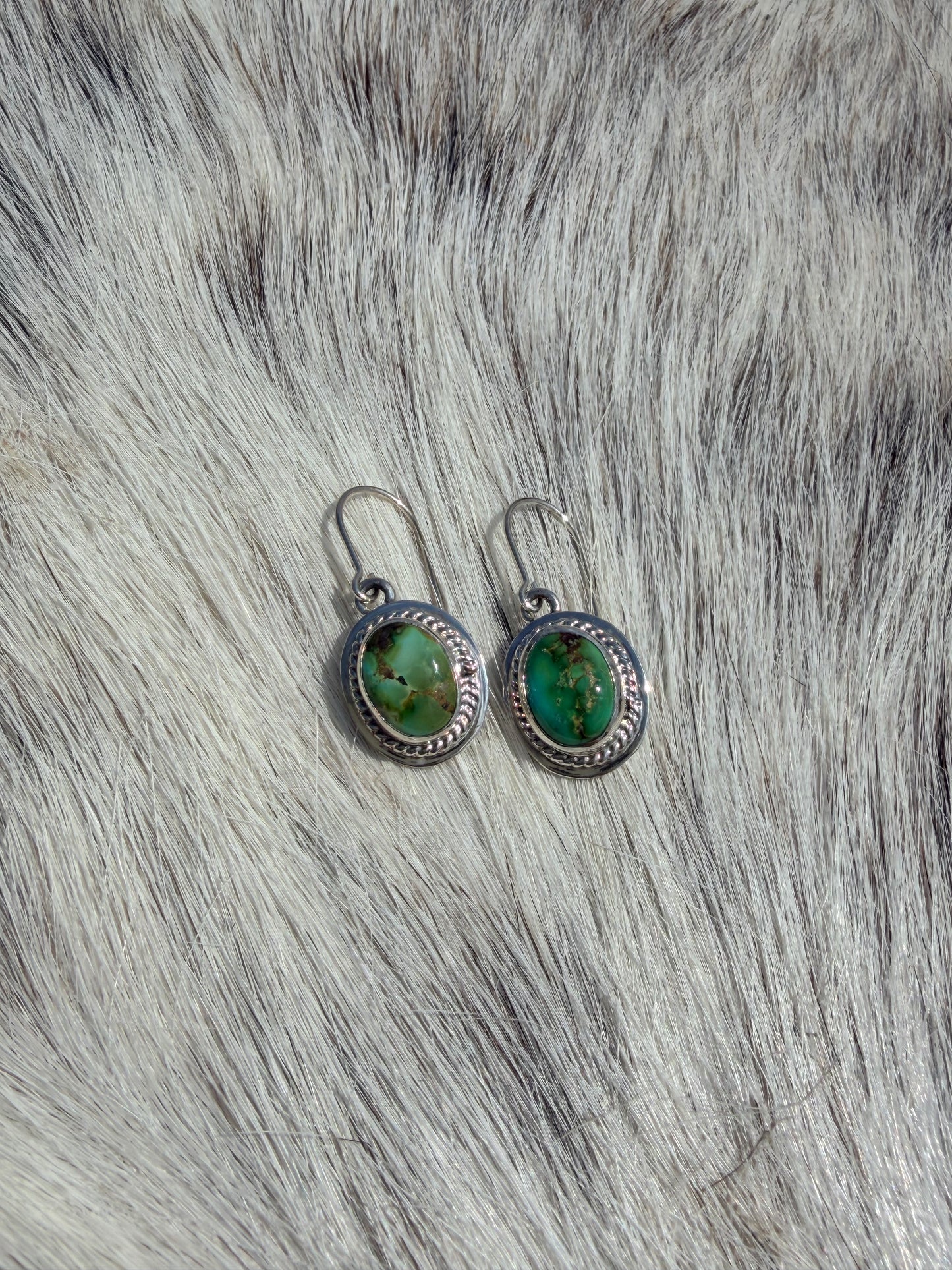 Sonoran Dangle Earrings
