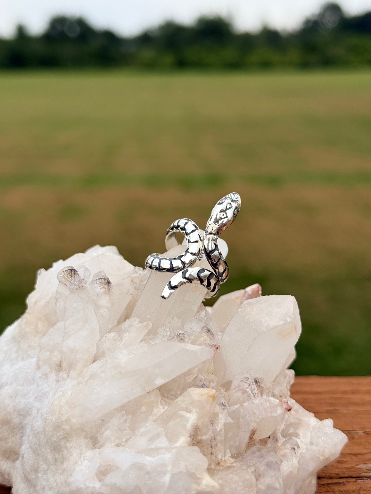 Wraped Snake Ring