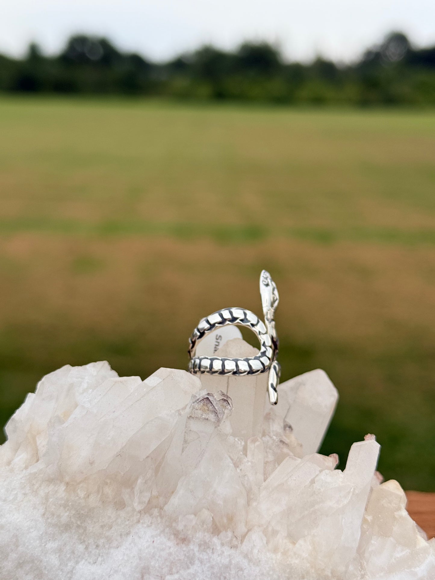 Wraped Snake Ring