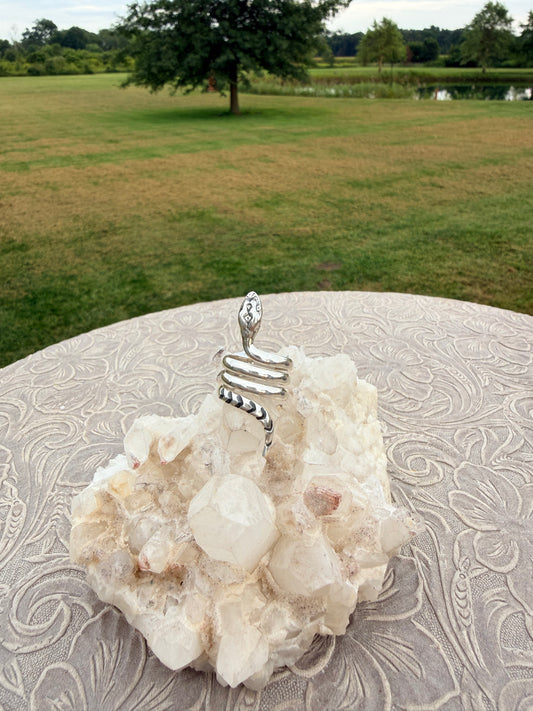 Snake Coil Ring