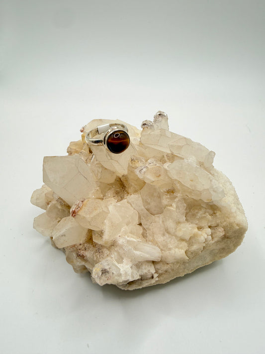 Circle Tigers Eye Ring