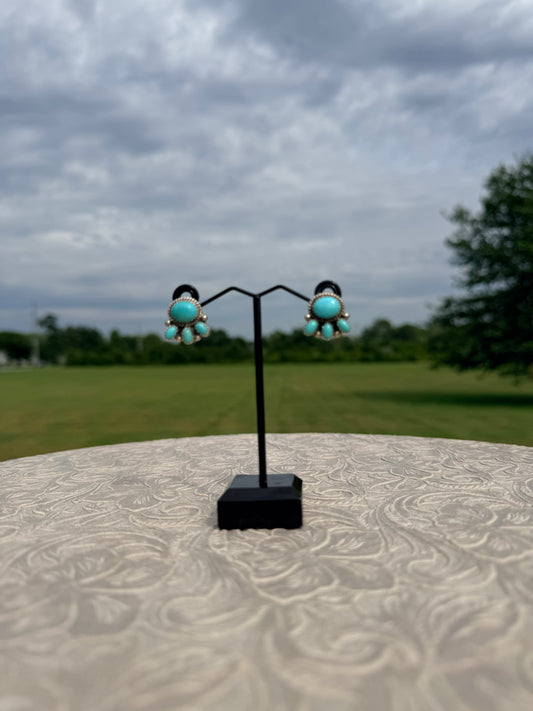 P. Skeets Turquoise Cluster Earrings
