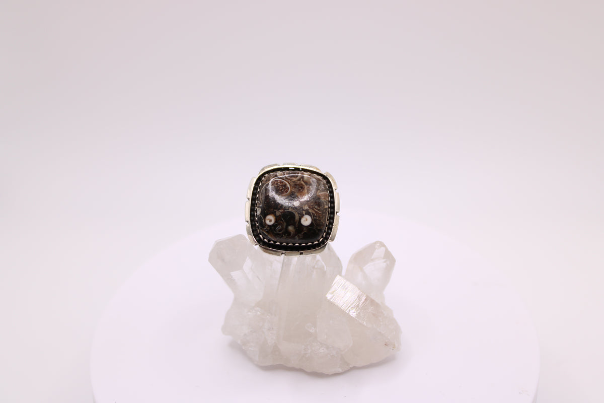 Squared Turtella Jasper