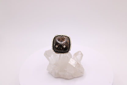 Squared Turtella Jasper