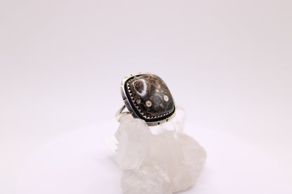Squared Turtella Jasper