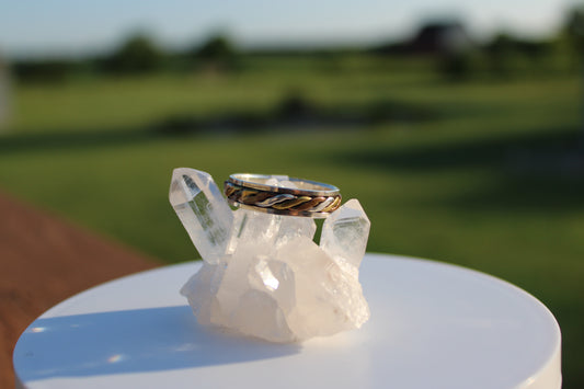 Spinning Tricolor Band Ring