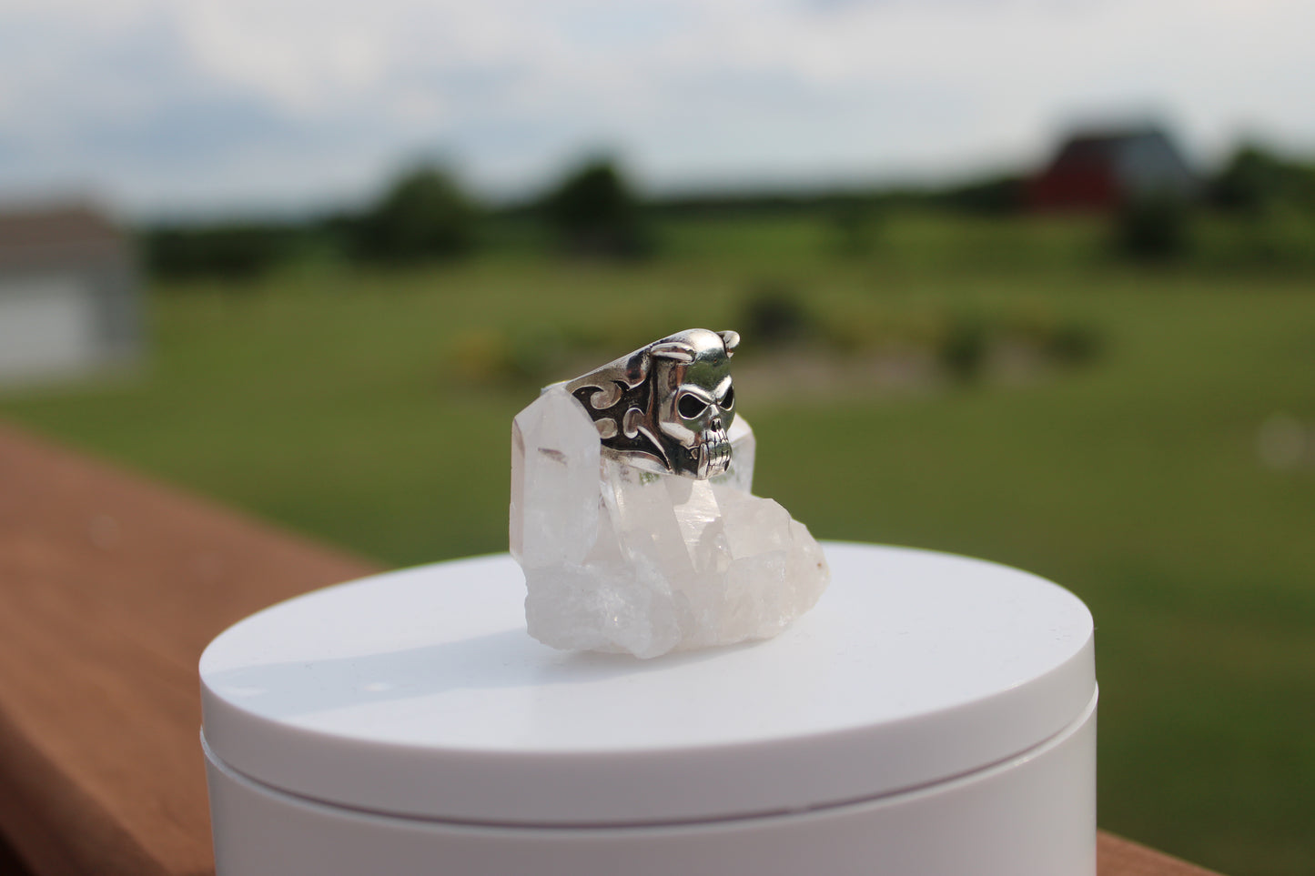 Horn Skull Men's Ring