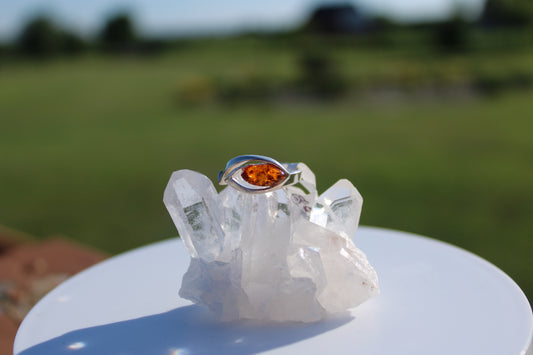 Amber Encased Ring
