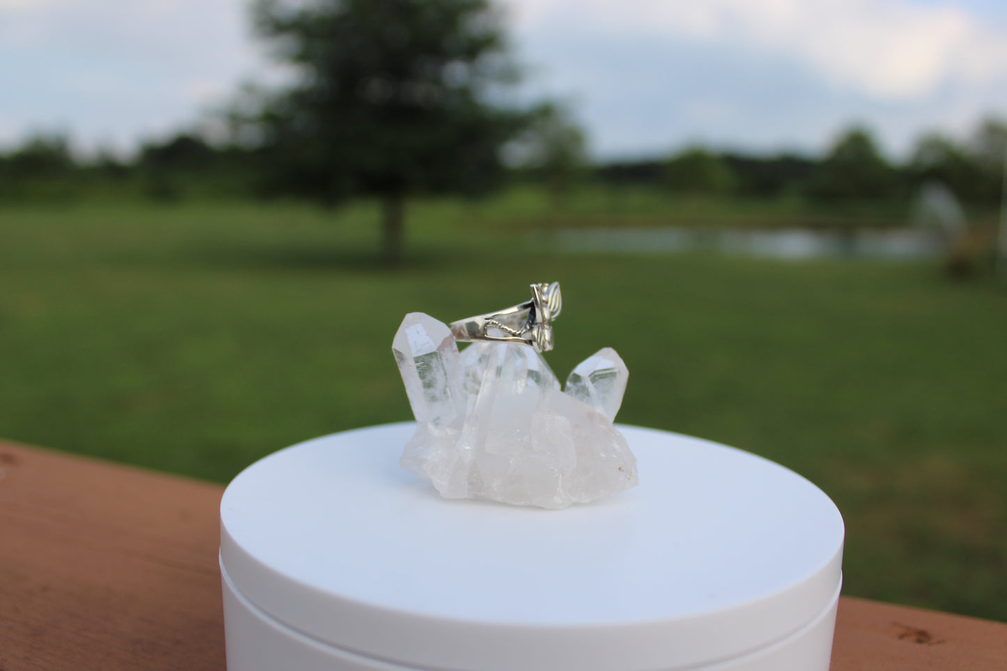Butterfly Ring