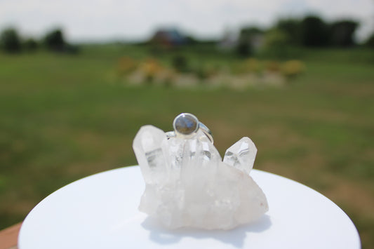 Round Labradorite Ring