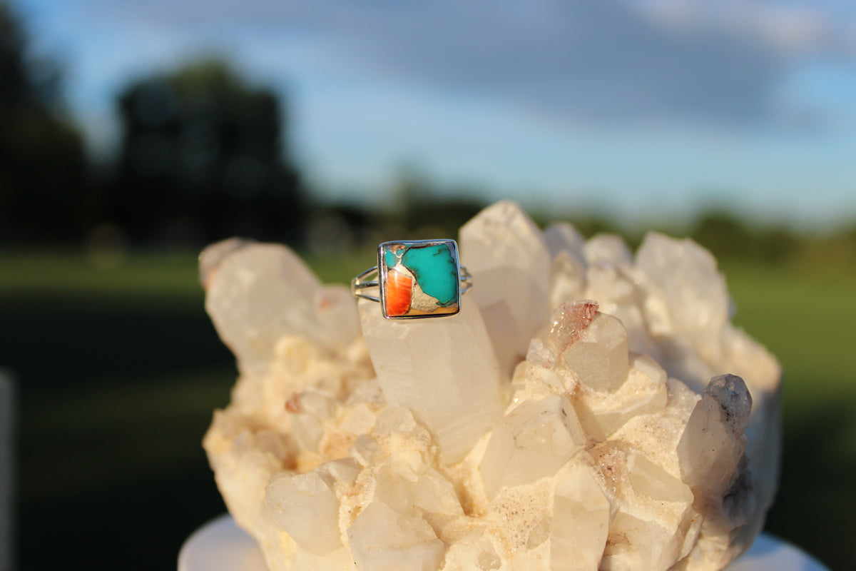 Square Spiny Oyster Ring