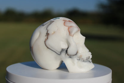 Onyx Skull