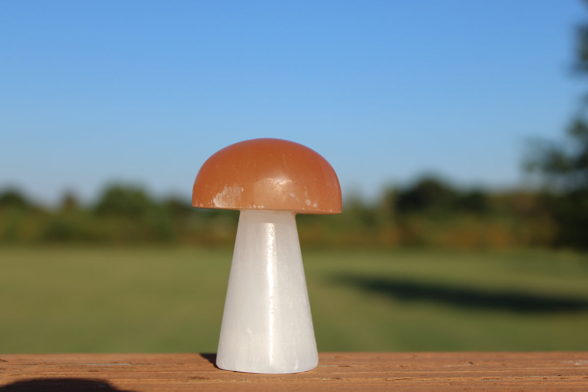 Orange Selenite Mushroom