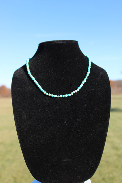 Naomi Garcia Turquoise Beaded Necklace